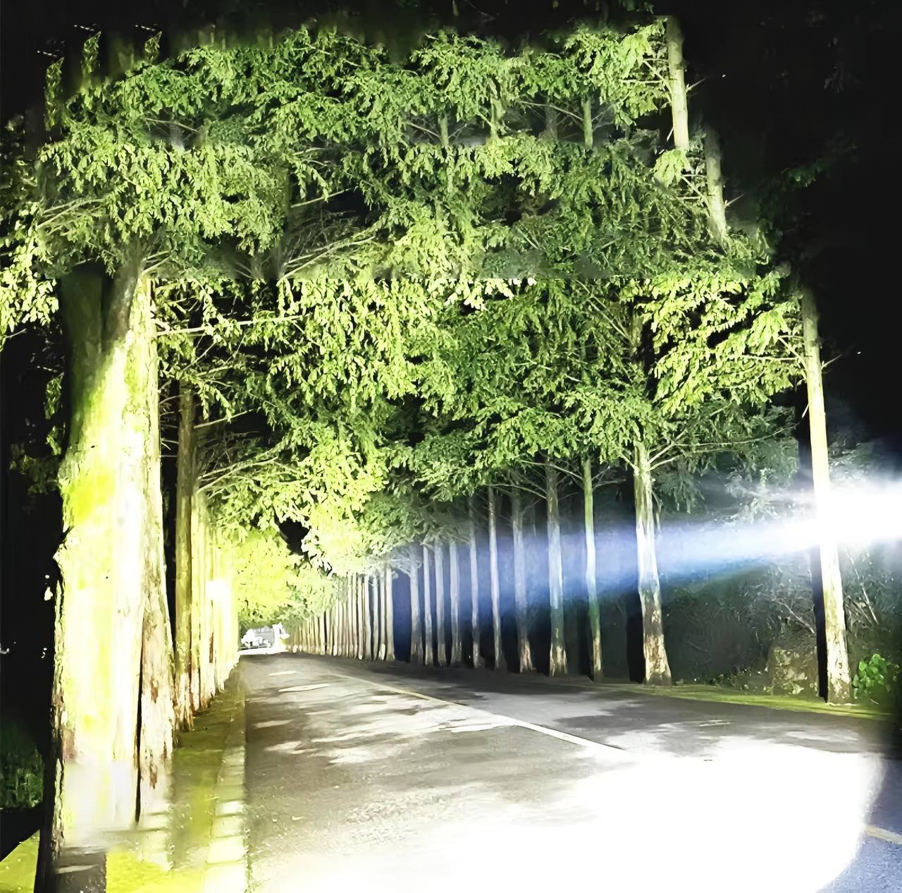 🔦 Linterna Táctica LED de Alta Potencia 4000 Lúmenes